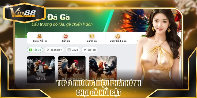Top 3 thương hiệu phát hành chọi gà nổi bật